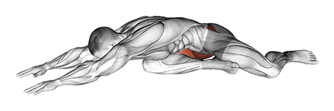 Animal Resting Yoga Pose exercise demonstration for Stretching, Body weight