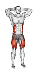 Standing Side Crunch exercise demonstration