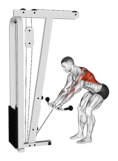 Cable Bent-Over Reverse Grip Row exercise demonstration for Back, Cable