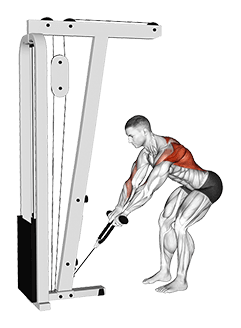 Cable Bent-Over Row with Rope Attachment exercise demonstration