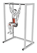 Hanging Deadbug exercise demonstration for Hips, Body weight