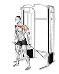 Cable Standing Alternate Low Fly exercise demonstration