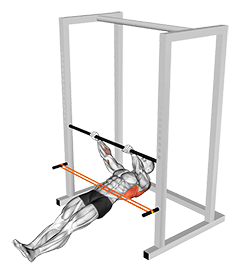 Resistance Band Inverted Row exercise demonstration for Back, Resistance Band