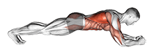 Body Saw Plank exercise demonstration for Shoulders, Body weight