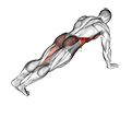 Leg Extension Plank exercise demonstration for Waist, Body weight