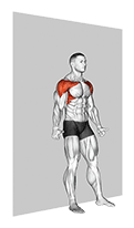 Alternate Shoulder Flexion Back to Wall exercise demonstration