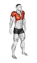 Shoulder Circle exercise demonstration for Back, Body weight