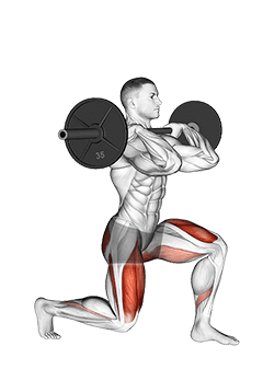 Barbell Front Rack Split Squat exercise demonstration for Thighs, Barbell