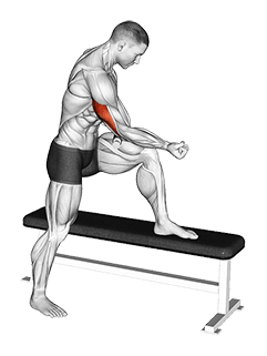 Tiger Tail Triceps exercise demonstration