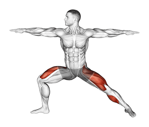 Warrior II Yoga Pose exercise demonstration for Stretching, Body weight