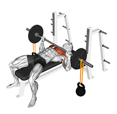 Barbell Bench Press with Band Suspended Kettlebell exercise demonstration for Chest, Barbell