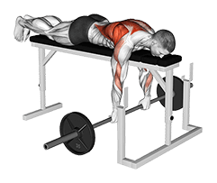 Barbell Lying Close-Grip Overhand Row on Rack exercise demonstration