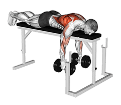 Dumbbell Lying Close-Grip Parallel Row on Rack exercise demonstration for Back, Dumbbell