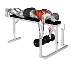 Dumbbell Lying Wide-Grip Row on Rack exercise demonstration for Back, Dumbbell