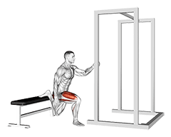 Assisted Bulgarian Split Squat exercise demonstration for Thighs, Body weight