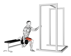 Dumbbell Assisted Bulgarian Split Squat exercise demonstration for Thighs, Dumbbell