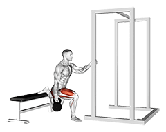 Kettlebell Assisted Bulgarian Split Squat exercise demonstration for Thighs, Kettlebell