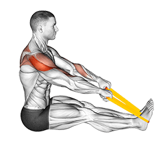 Resistance Band Seated Face Pull exercise demonstration