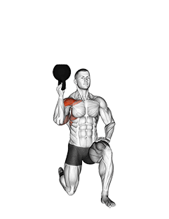Kettlebell Half Kneeling One Arm Bottoms-Up Press exercise demonstration