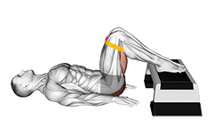 Resistance Band Elevated Glute Bridge exercise demonstration