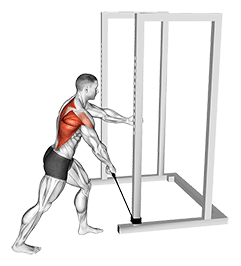 Band One Arm Standing Wide Grip Low Row exercise demonstration for Back, Band