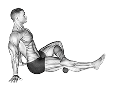 Roll Ball Popliteal exercise demonstration for Thighs, Rollball