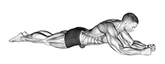 Roll Ball Psoas - Abdominal Region exercise demonstration for Hips, Rollball