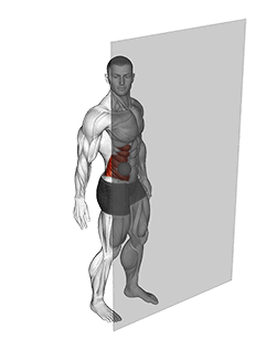 Roll Ball External Oblique exercise demonstration for Waist, Rollball
