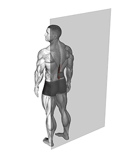 Roll Ball Erector Spinae exercise demonstration for Hips, Rollball