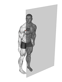 Roll Ball Pectoralis Major - Clavicular exercise demonstration