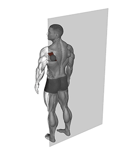 Roll Ball Infraspinatus exercise demonstration