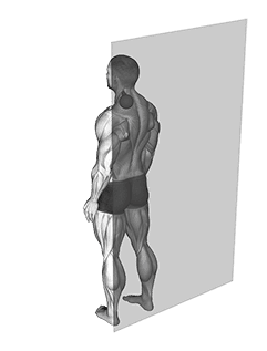 Roll Ball Scapula Levator exercise demonstration