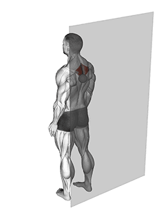 Roll Ball Rhomboid exercise demonstration