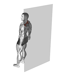 Roll Ball Trapezius Upper exercise demonstration