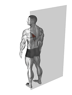 Roll Ball Trapezius Lower exercise demonstration