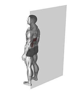 Roll Ball Wide Back exercise demonstration