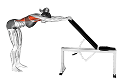 Back Pec Stretch exercise demonstration for Back, and Chest, Body weight