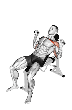 Band Incline Bench Press exercise demonstration
