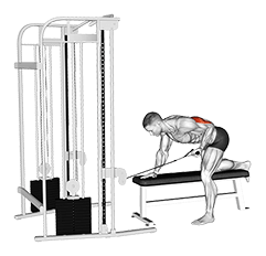 Cable Bent-Over Single Arm Kickback exercise demonstration