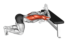 Kneeling Lat Stretch on Bench exercise demonstration for Upper Arms, Body weight