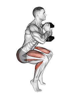Dumbbell Squat Hold Calf Raise exercise demonstration