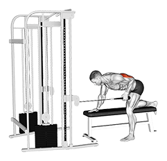 Cable Bent-Over Single Arm Neutral Grip Kickback with Rope Attachment exercise demonstration