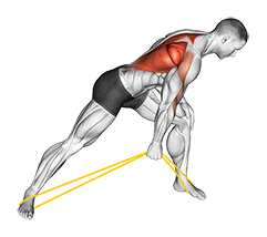Resistance Band One Arm Bent Over Row exercise demonstration for Back, Resistance Band