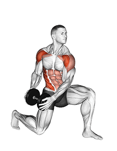 Dumbbell Half Kneeling Lift and Chop exercise demonstration for Waist, Dumbbell