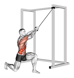 Band Half Kneeling Chop exercise demonstration