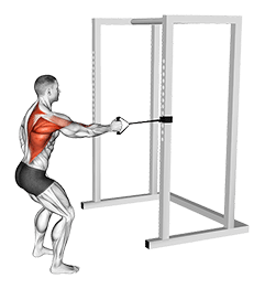 Band Standing Single Arm Row exercise demonstration