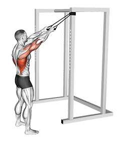 Band Standing Straight Arm Pulldown exercise demonstration