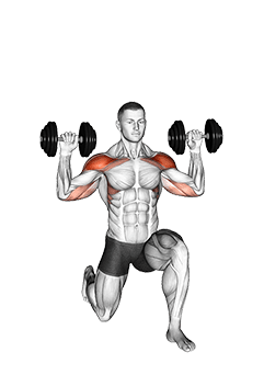 Dumbbell Half Kneeling Military Press exercise demonstration for Shoulders, Dumbbell