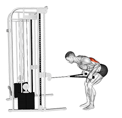 Cable Bent-Over Neutral Grip Kickback with Rope Attachment exercise demonstration