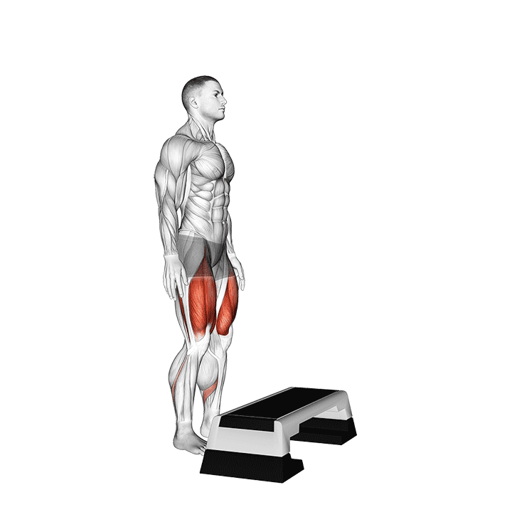 Bodyweight Step-up on Stepbox exercise demonstration